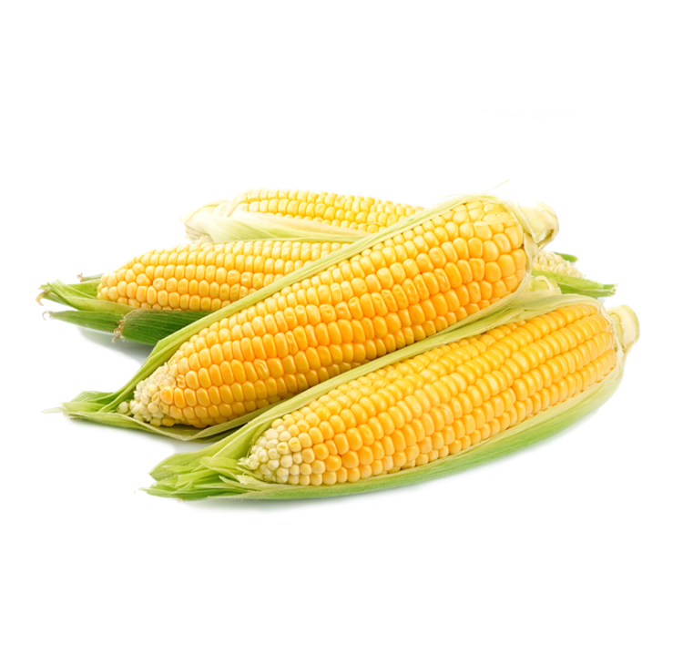 Corn