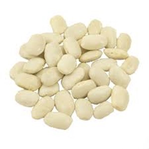 Great Northern Beans