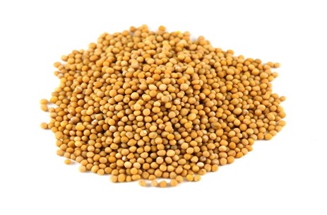 Mustard seeds