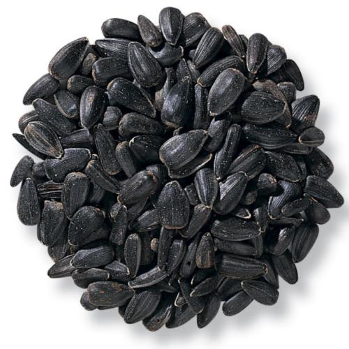 Sunflower seeds